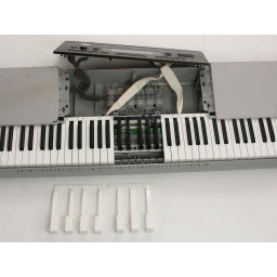 Замена белых ключей Casio WK-220